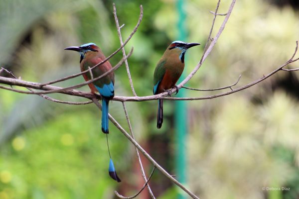 foto:DEBORA YAHAIRA DÍAZ LÓPEZ - lo hecho en México
