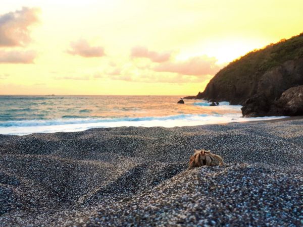 foto:Miguel Ángel Campechano  Gonzalez - lo hecho en México