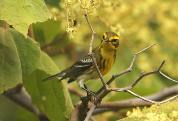 foto:Omar Gómez González - lo hecho en México