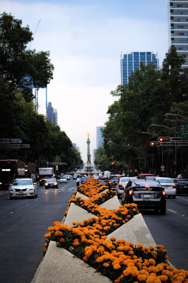 foto:Roberto Ezequiel Valenzuela  Cepeda - lo hecho en México