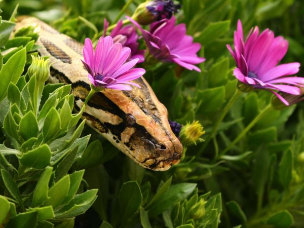 foto:Jesus  Beltrán Barrón - lo hecho en México