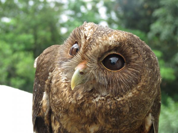 foto:Eduardo López  Segovia - lo hecho en México