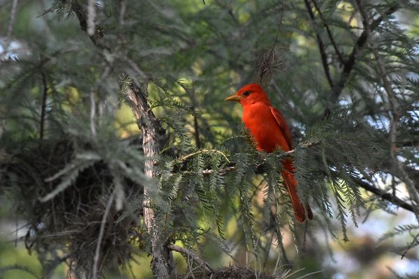 foto:Jorge Alberto  Treviño Lara - lo hecho en México