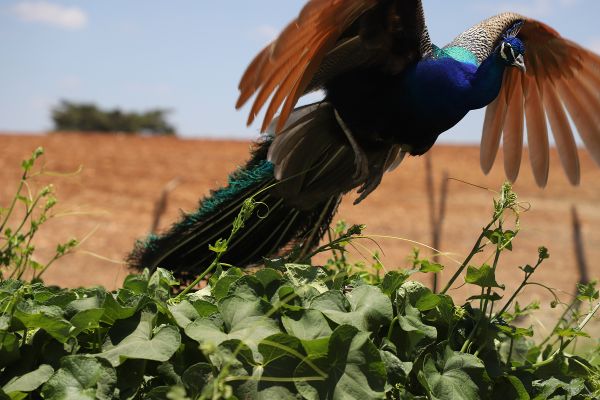 foto:Ernesto Ordóñez Hernández - lo hecho en México