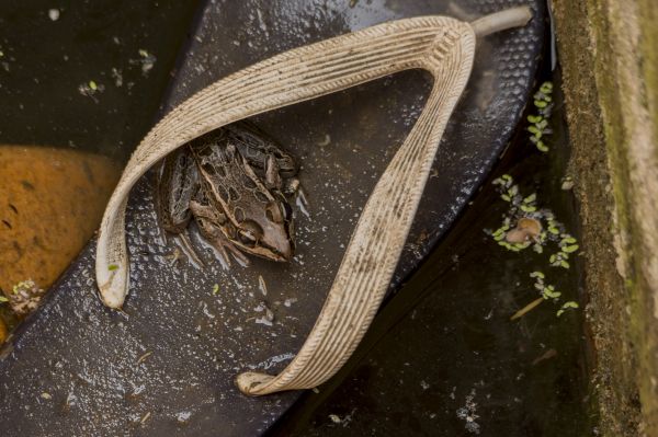 foto:Jorge Alberto Duque Sanchez - lo hecho en México