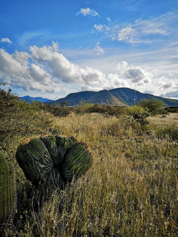 foto:Roberto Mejía Cruz - lo hecho en México