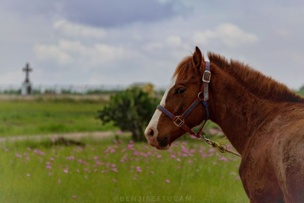 foto:Benjamin Pérez Mota - lo hecho en México