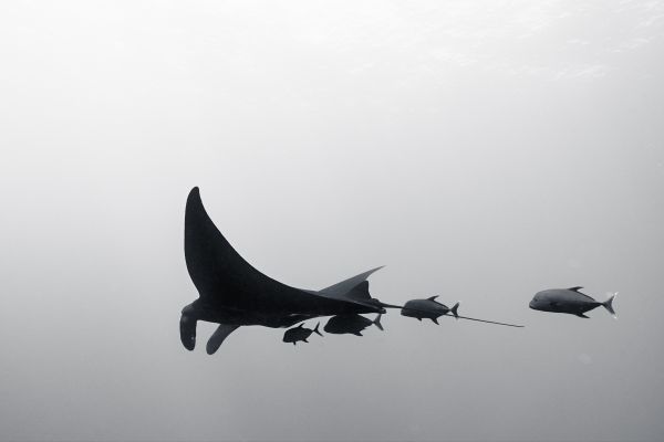 foto:María I. Lecanda Rodríguez - lo hecho en México