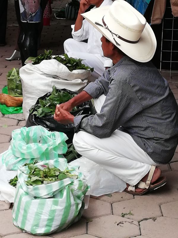 foto:Celia Esquivel  Fuentes  - lo hecho en México