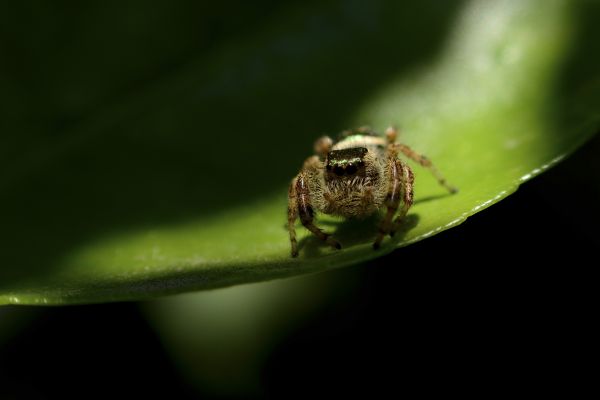 foto:Ismael Méndez Flores - lo hecho en México