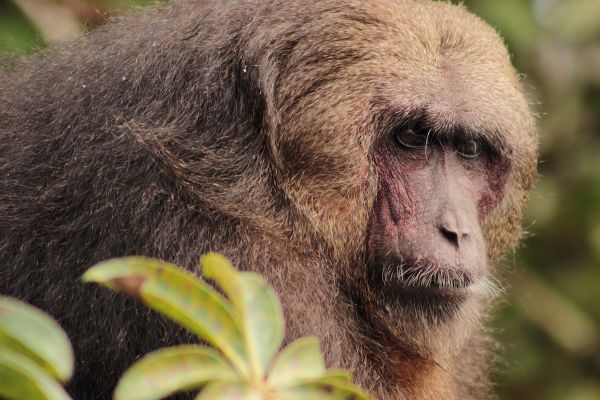 foto:Andrés Santisteban Pozas - lo hecho en México