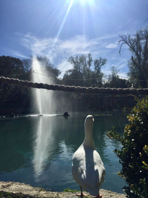 foto:EMMA ELIZABETH  NÁJAR  FUENTES - lo hecho en México