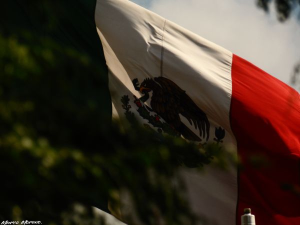 foto:Marco Antonio Moreno  Lechuga - lo hecho en México
