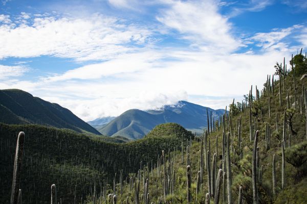 foto:Elias Pacheco Lezama - lo hecho en México