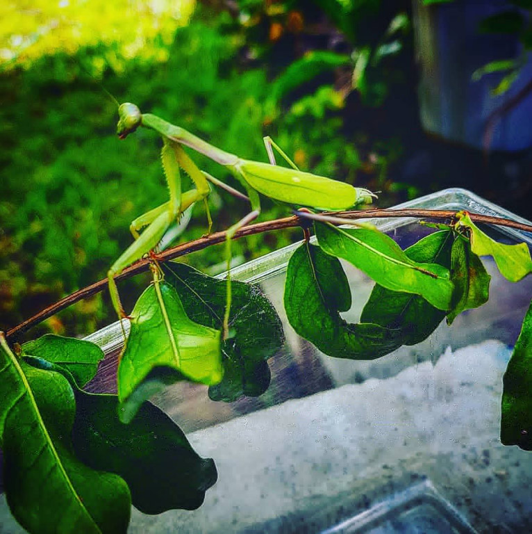 foto:Elizabeth Perez  Castro - lo hecho en México