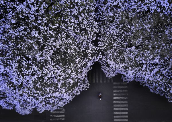 foto:Misael Alejandro Covarrubias Alvarado - lo hecho en México