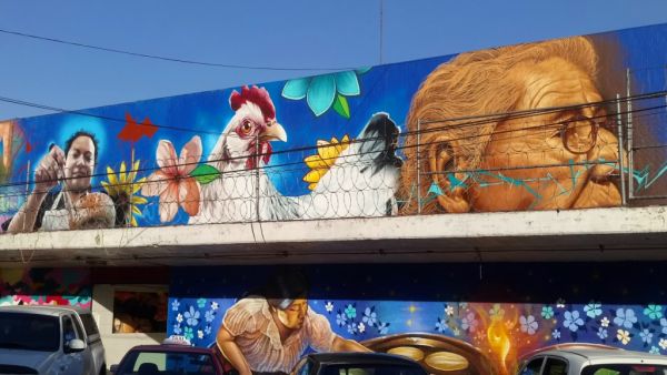 foto:Juan Raúl Barreiro Isabel - lo hecho en México