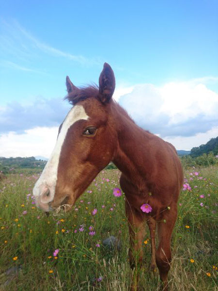 foto:Wilber Arellano  Juárez  - lo hecho en México