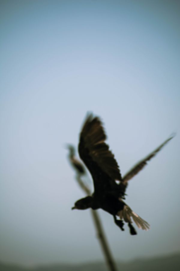 foto:Edgar Axel  de la Cruz  Yañez  - lo hecho en México