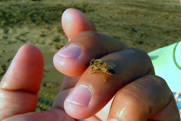 foto:Juan José López Luna - lo hecho en México