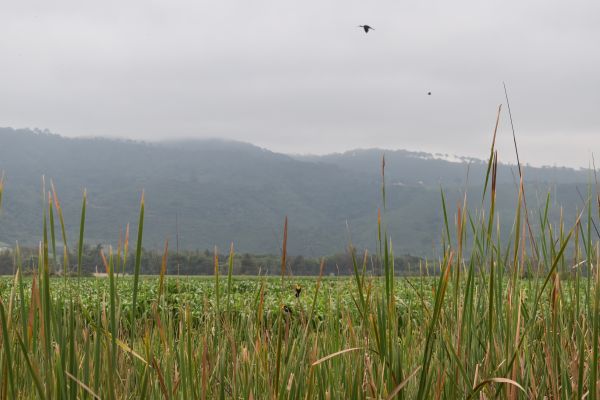 foto:JUAN MANUEL  PEREZ  PEREZ - lo hecho en México