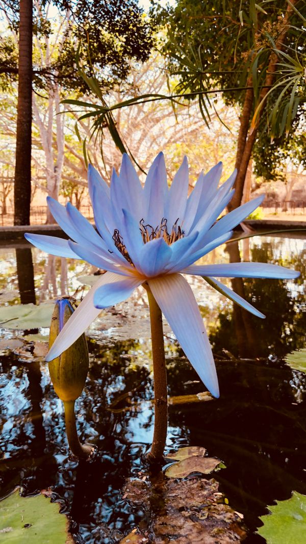 foto:Rubén Arturo  García  Estrella  - lo hecho en México