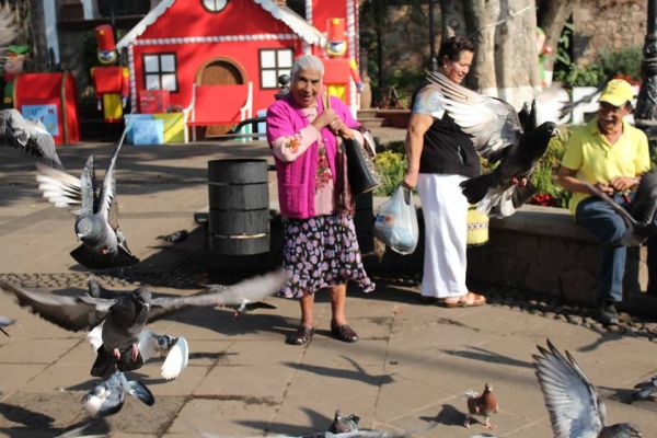 foto:María Teresa Susana Castañeda  Ramírez  - lo hecho en México