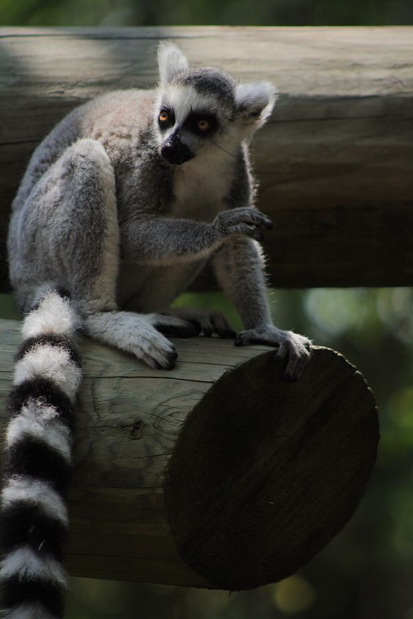 foto:Ashley González  Carreón - lo hecho en México