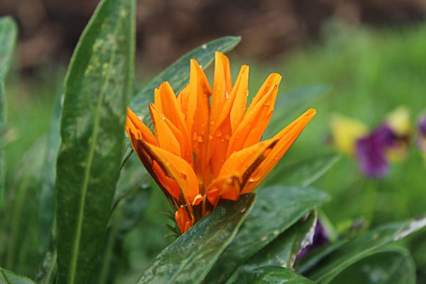 foto:Valeria Gudalupe Flores Haro - lo hecho en México