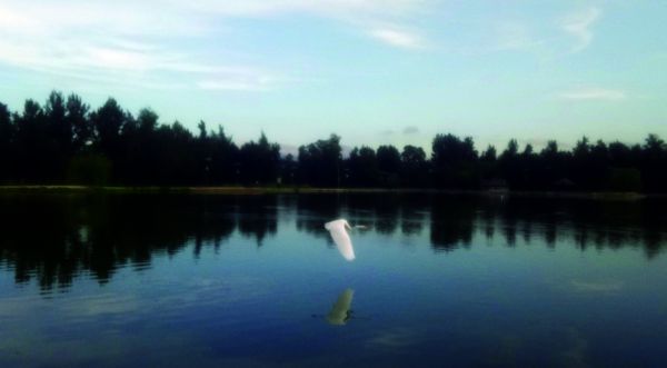 foto:Dulce Grisel Olmos Guzman - lo hecho en México