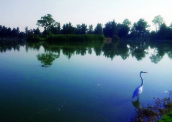 foto:Arcelia Griselda Guzman Espindola - lo hecho en México