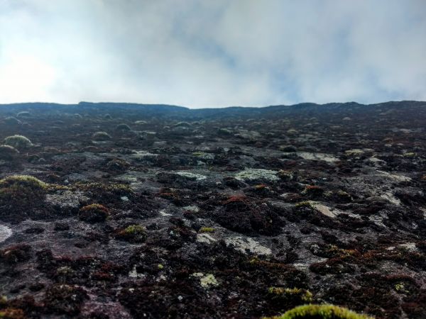 foto:Edgar Corona  Minor - lo hecho en México