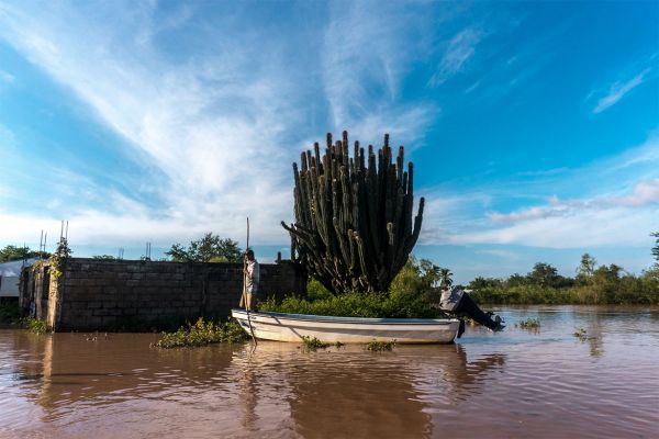 foto:EDWIN MISAEL  GARCÍA HARO  - lo hecho en México