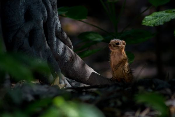 foto:César Alonso Castillo García - lo hecho en México