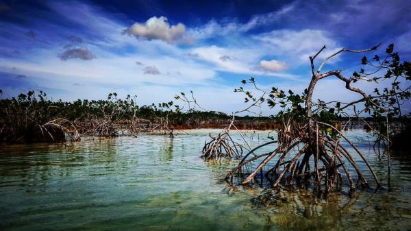 foto:Rodrigo Buenrostro Sanchez  - lo hecho en México