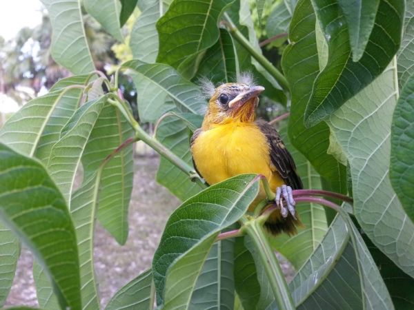 foto:Adrian Duran  Alcocer - lo hecho en México