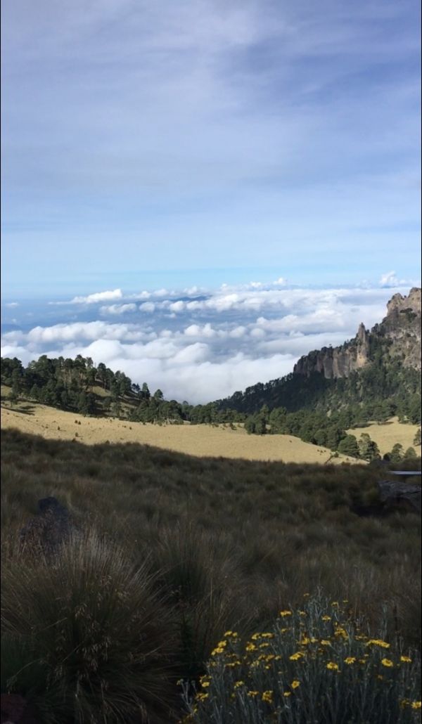 foto:Carlos Pablo Gil Abarca - lo hecho en México