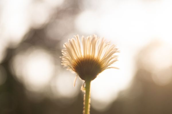 foto:Braulio Gómez Hernández - lo hecho en México