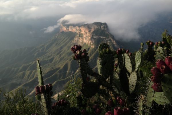 foto:Ivette Janet Rodríguez Leyva - lo hecho en México