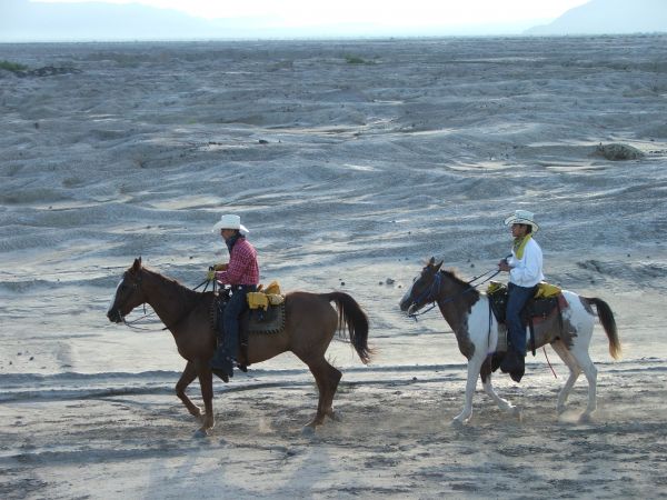 foto:Jose Efrain Guajardo Elizondo - lo hecho en México