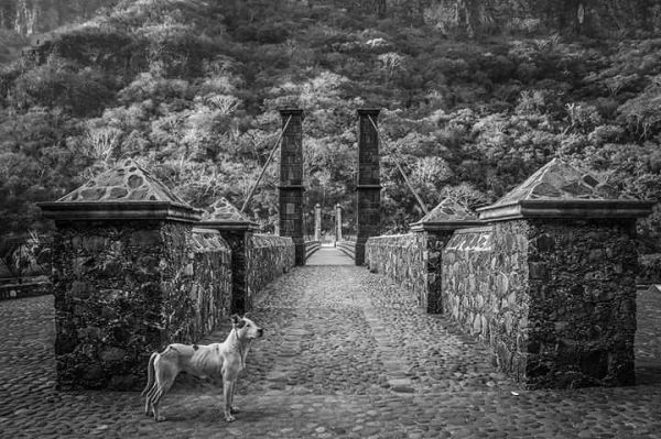 foto:Isaac Hernandez Martinez - lo hecho en México