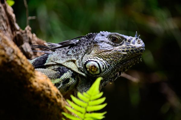 foto:César Estrada Martínez - lo hecho en México