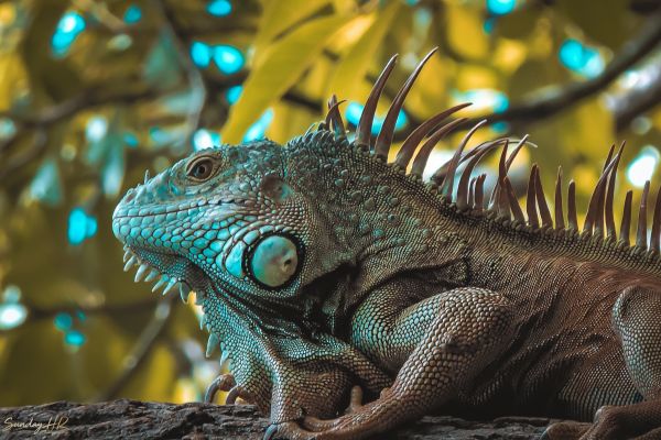 foto:Jesús Domingo  Hernández  Ramírez  - lo hecho en México