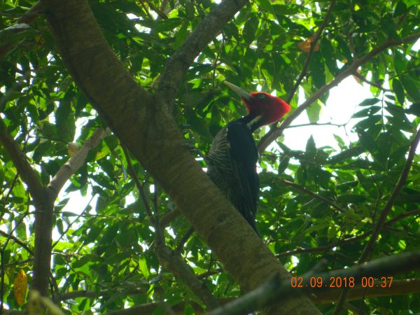 foto:Luis Antonio Hernandez Cruz - lo hecho en México