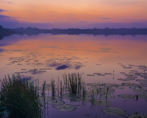 foto:Hector  Baldovinos Villanueva - lo hecho en México