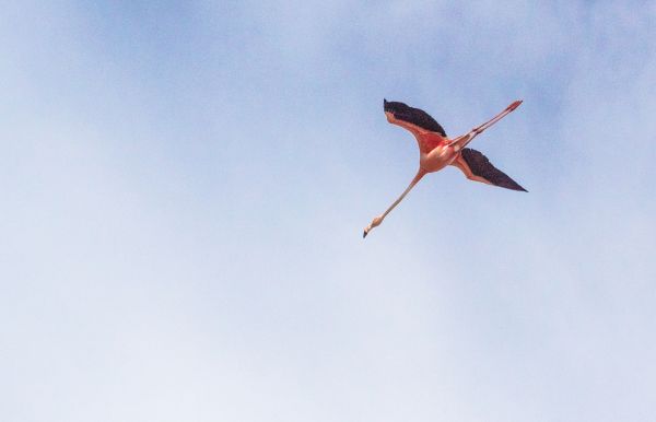 foto:Erick Alejandro Trevilla Colín - lo hecho en México