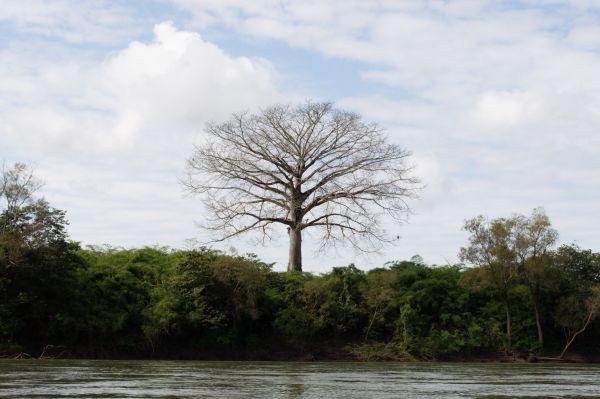 foto:CESAR INGUZ MORALES ZEPEDA - lo hecho en México