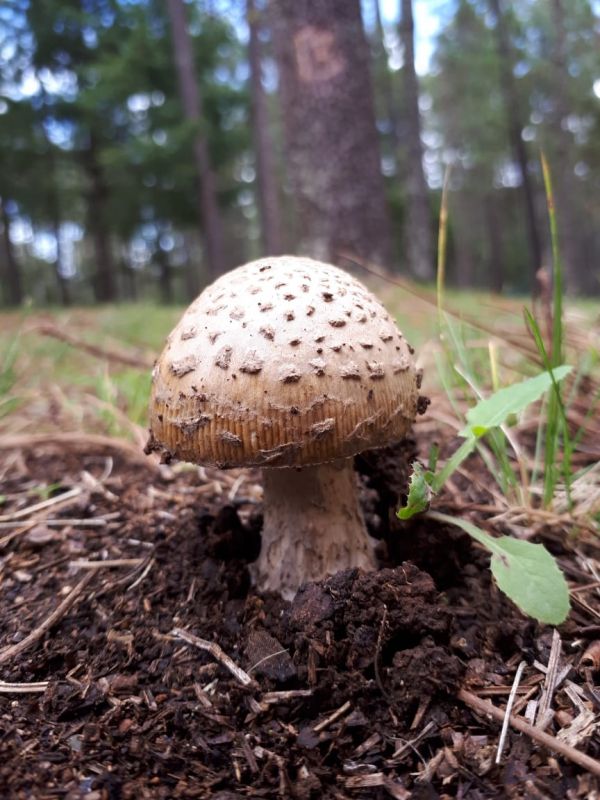 foto:Cinthia Alejandra Maza Moreno - lo hecho en México