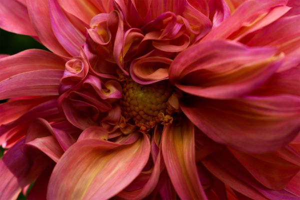 foto:Karla Daniela Amador Rosas - lo hecho en México