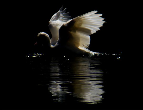 foto:JOSÉ FRANCISCO  SOSA CERÓN  - lo hecho en México